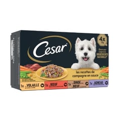 CESAR Filets en Sauce pour Chien Pack de 4x150 g
