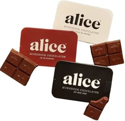Alice Mushroom Chocolate Happy Ending