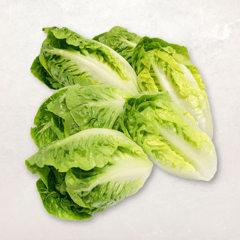 SALADE Cœur de Sucrine Sachet 3 Pièces 250g Import France par Avion