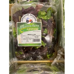 SALADE Mesclun/Jeunes Pousses 125g Import France par Avion