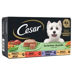 CESAR Terrine pour Chien Goût Campagne 4x150 g
