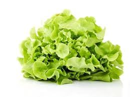 FEUILLES DE CHÊNE Bio Local