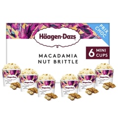 HÄAGEN-DAZS Crème Glacée Macadamia Nut Brittle 400 g