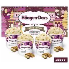 HÄAGEN-DAZS Mini Pot Macadamia Nut Brittle