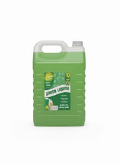Savon Liquide Parfum Pomme 5L