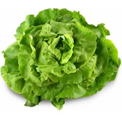 Salade Local par botte