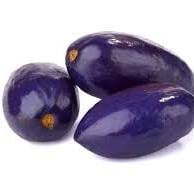 ATANGAS Local Gabon/ KILO