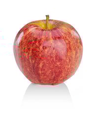 POMME Royal Gala Import France Bateau par piece