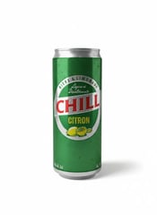 REGAB CHILL Bière Canette Lot de 120 33cl