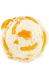 Soursop Mango Sorbet 90ml