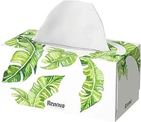 RENOVA Mouchoirs Plénitude 2 Plis 80 Feuilles