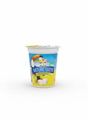 YOPLAIT  NATURE SUCRE 125 GR