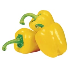 POIVRON Jaune Import France Avion par piece