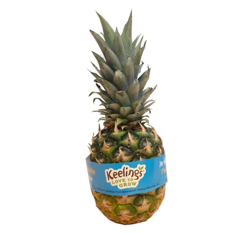 Ananas Local Origine Gabon / KILO