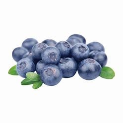MYRTILLE Barquette 125g Import France par Avion