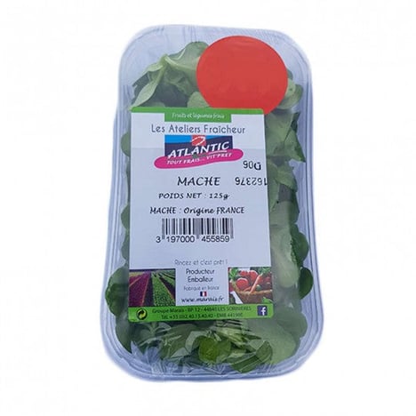 MÂCHE Barquette 125g Import France par Avion