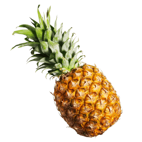 Ananas Local Origine Gabon / KILO