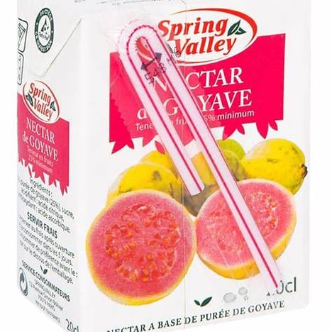 SPRING VALLEY Nectar Tropical 100% Pur Brique 200 ml