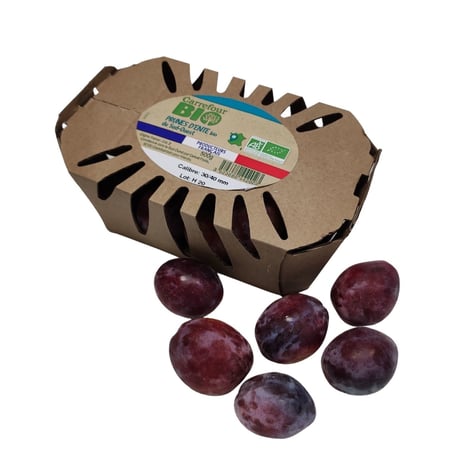 Prunes Noires Origine Import (Bateau) par piece