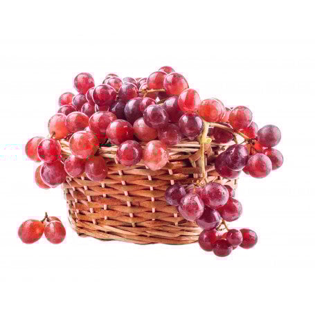 RAISIN Rouge Barquette 500g ADS