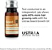 Ustraa Beard Growth Oil – 35ml | With Redensyl & 8 Natural Oils for Beard Strength, Nourishment & Volume