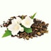 Namhya Pure Jasmine Tea | Stress relief | Supports weight loss