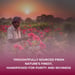 Namhya Hibiscus Tea | Premium Quality | Boost of Antioxidants| Flower Herbal Tea